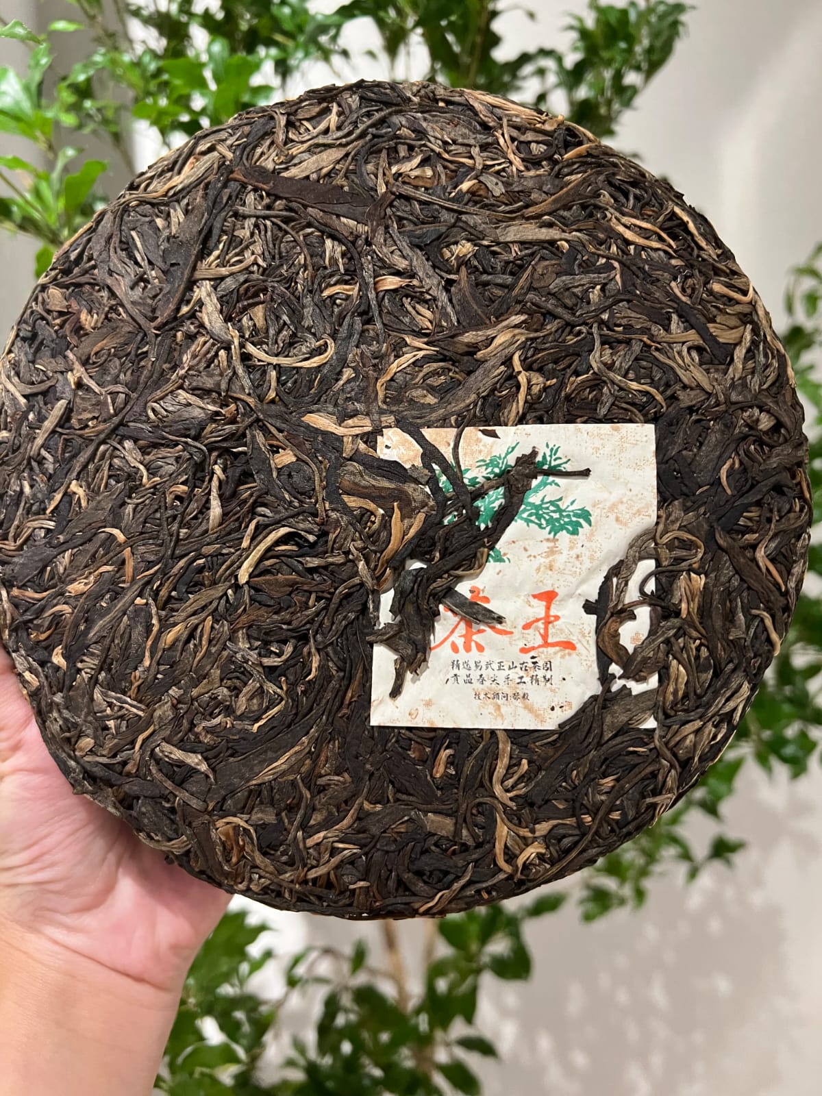 2001春. 易武野生茶王 (357g)