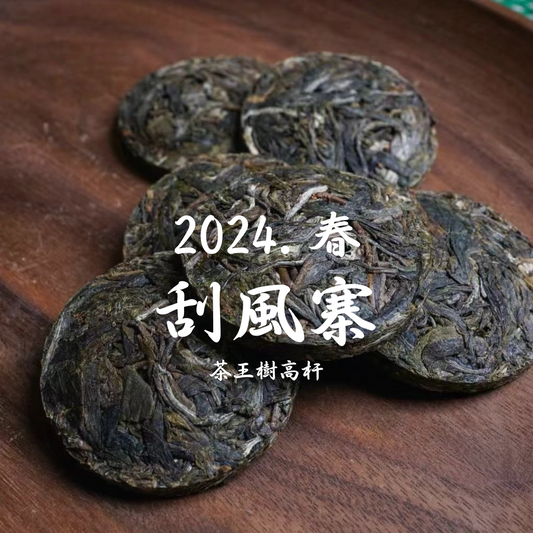 2024頭春. 刮風寨‧茶王樹高杆 (7g)