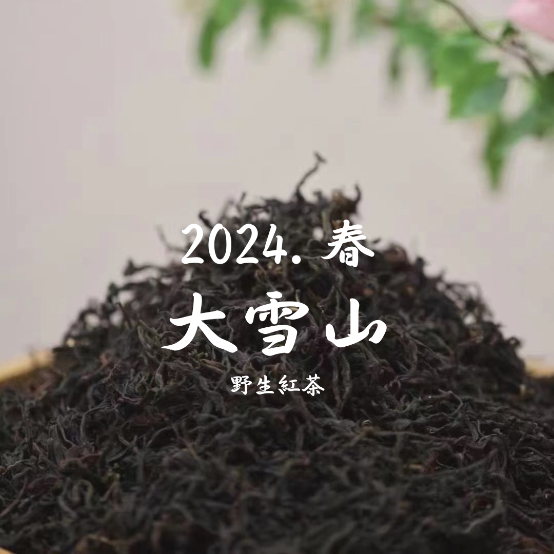 2024頭春. 大雪山野生紅茶 (散茶)